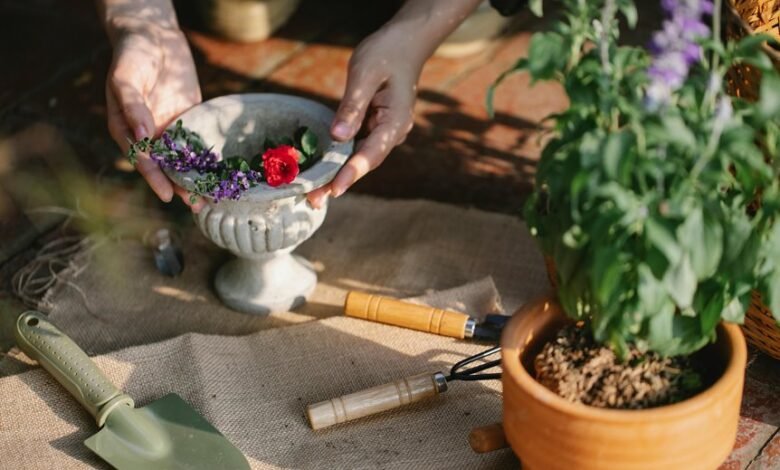 digital tools for growth