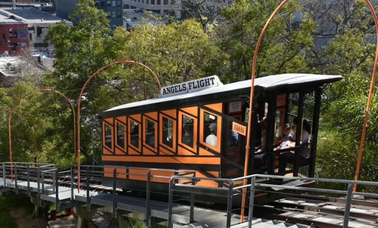 elevate your marketing strategy